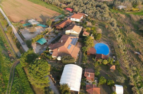 Agriturismo La Fattoria